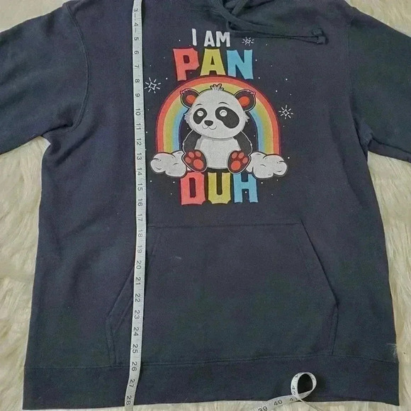 Pansexual Pride Rainbow Panda Hoodie Sweatshirt - L - Picture 5 of 6